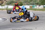20110501_ales_agnus (3535)